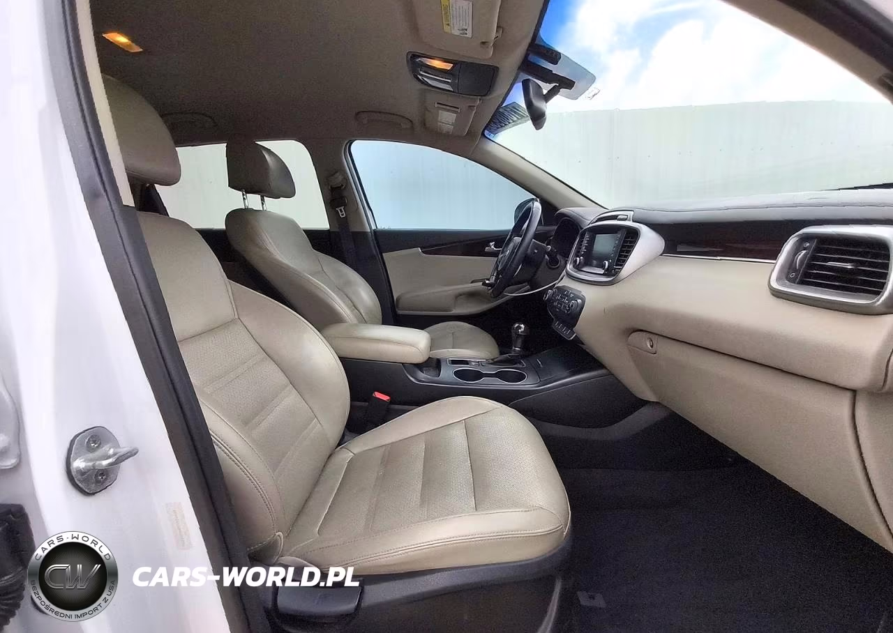 2017 Kia Sorento Lx VIN:5XYPG4A32HG284196 - 14