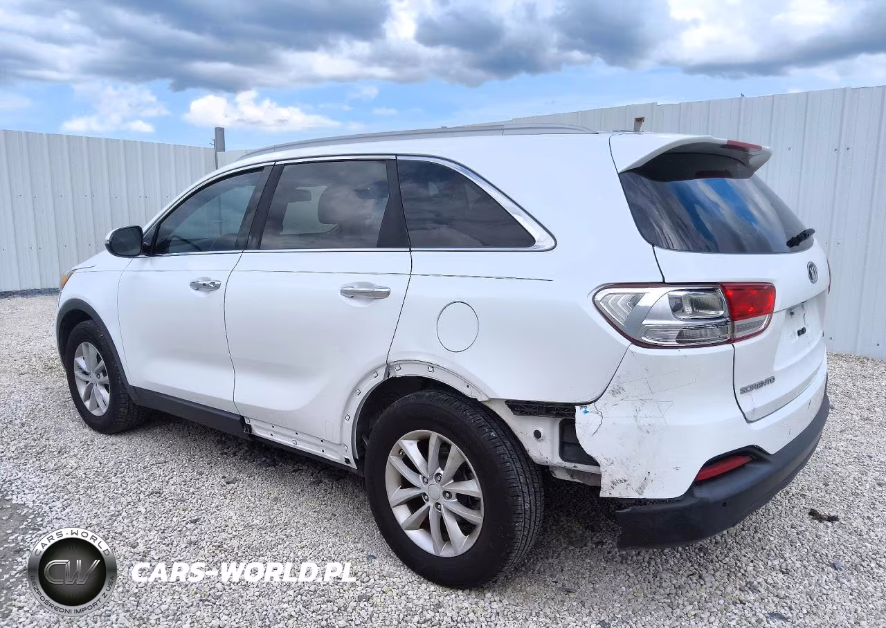 2017 Kia Sorento Lx VIN:5XYPG4A32HG284196 - 2