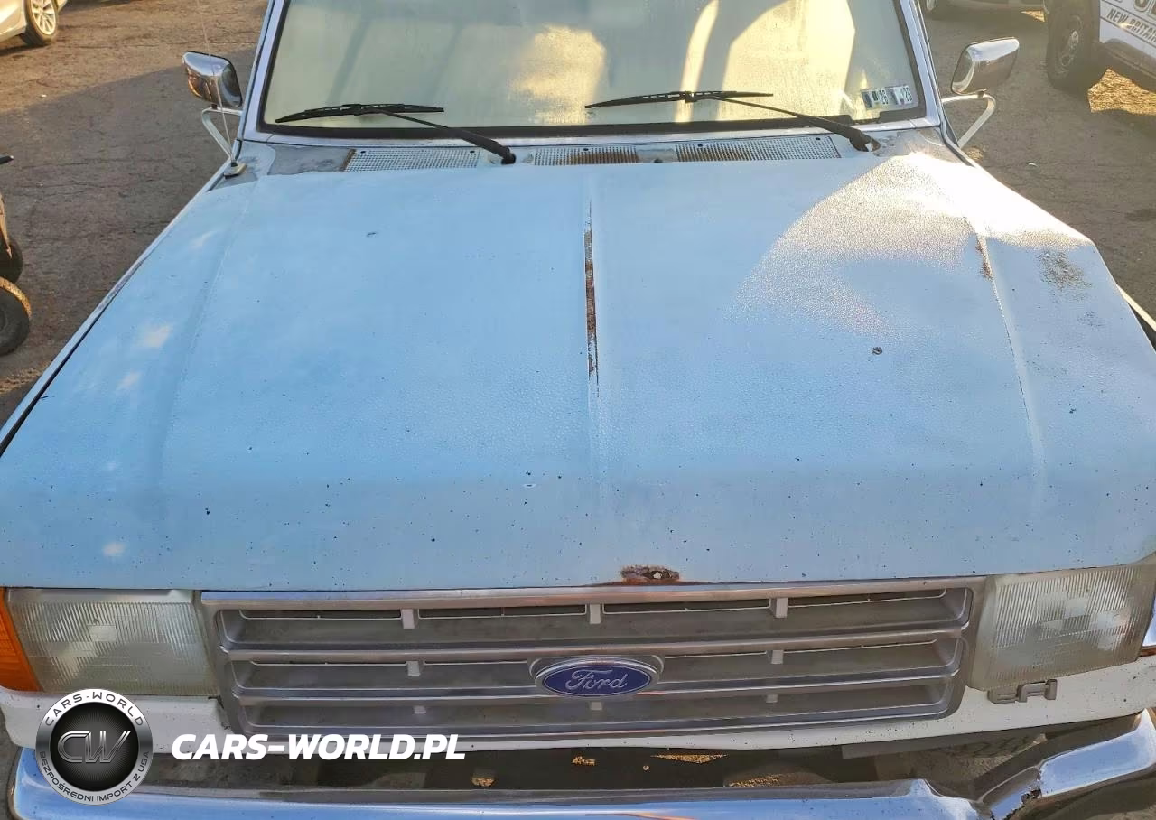 1987 Ford F150 VIN:1FTCF15Y9HNA38549 - 11