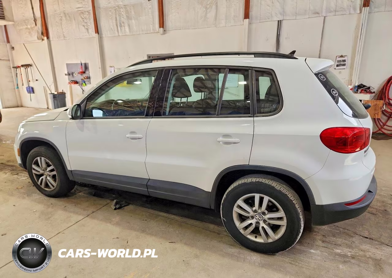 2015 Volkswagen Tiguan S VIN:WVGAV7AX5FW614621 - 2