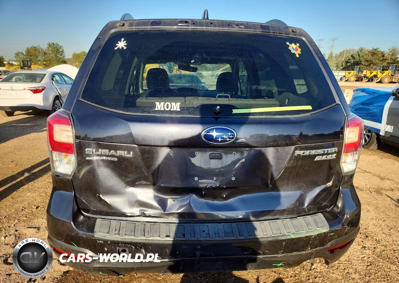 2017 Subaru Forester 2.5I Premium VIN:JF2SJAEC2HH535876 - 6