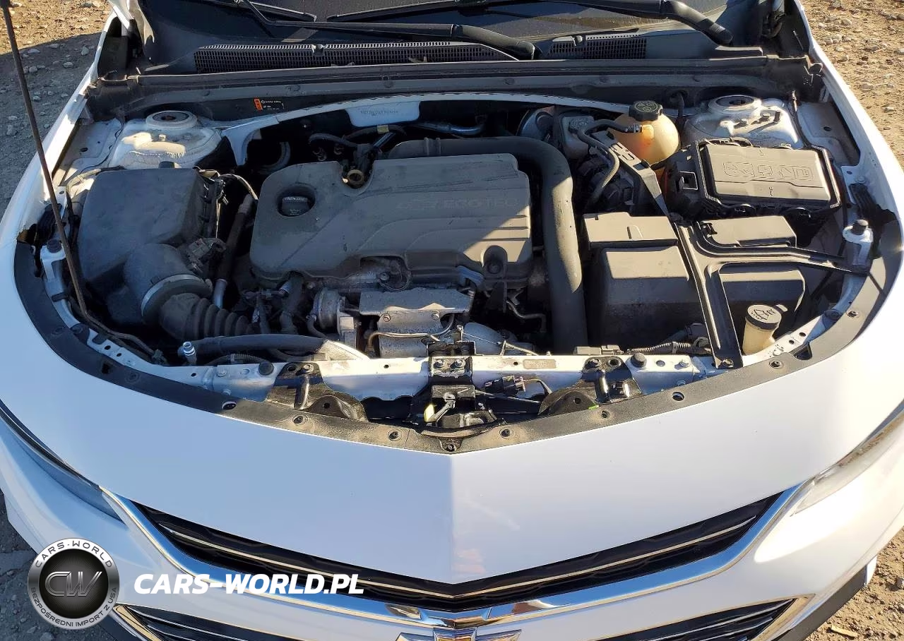 2018 Chevrolet Malibu Ls VIN:1G1ZB5ST6JF165953 - 11