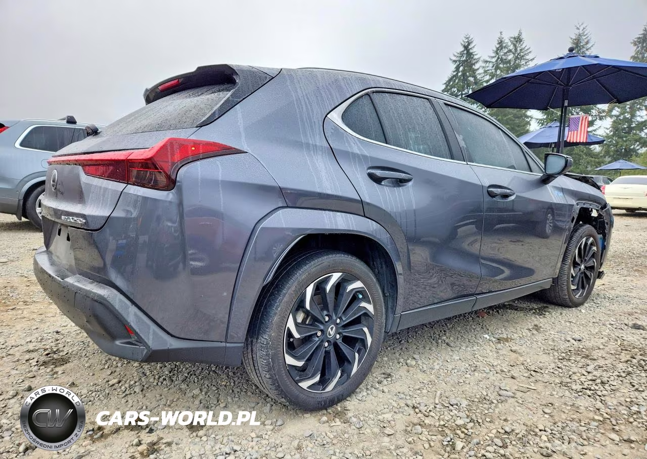 2023 Lexus Ux 250H Premium VIN:JTHP9JBH5P2065985 - 3