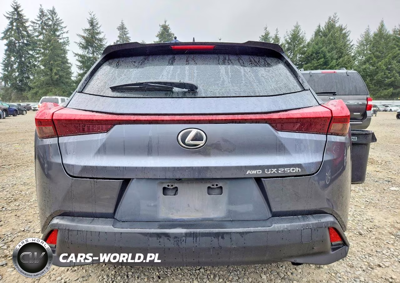 2023 Lexus Ux 250H Premium VIN:JTHP9JBH5P2065985 - 6