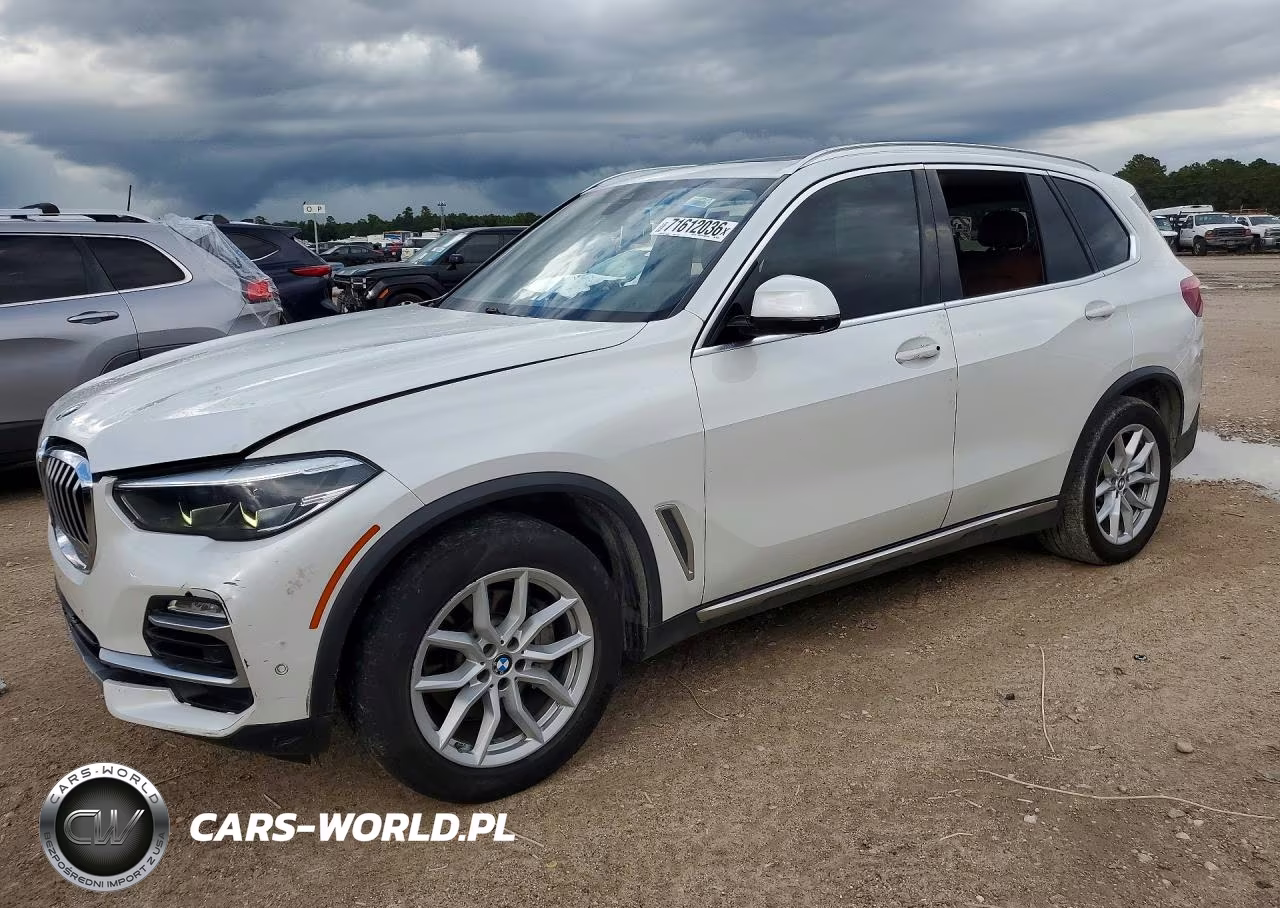 2019 BMW X5 xDrive40I – zdjęcie 1 z 13