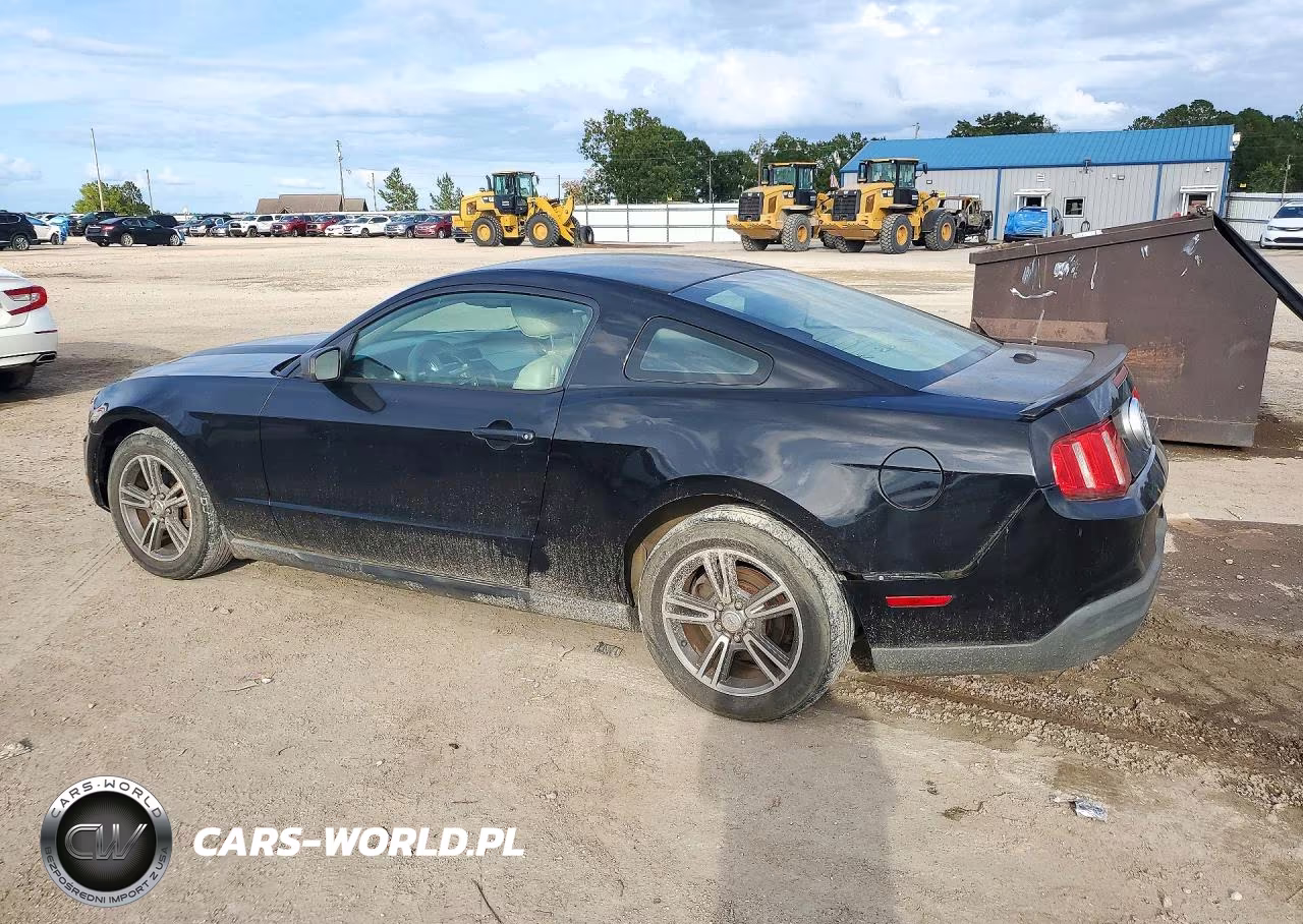 2010 Ford Mustang VIN:1ZVBP8AN7A5147804 - 2