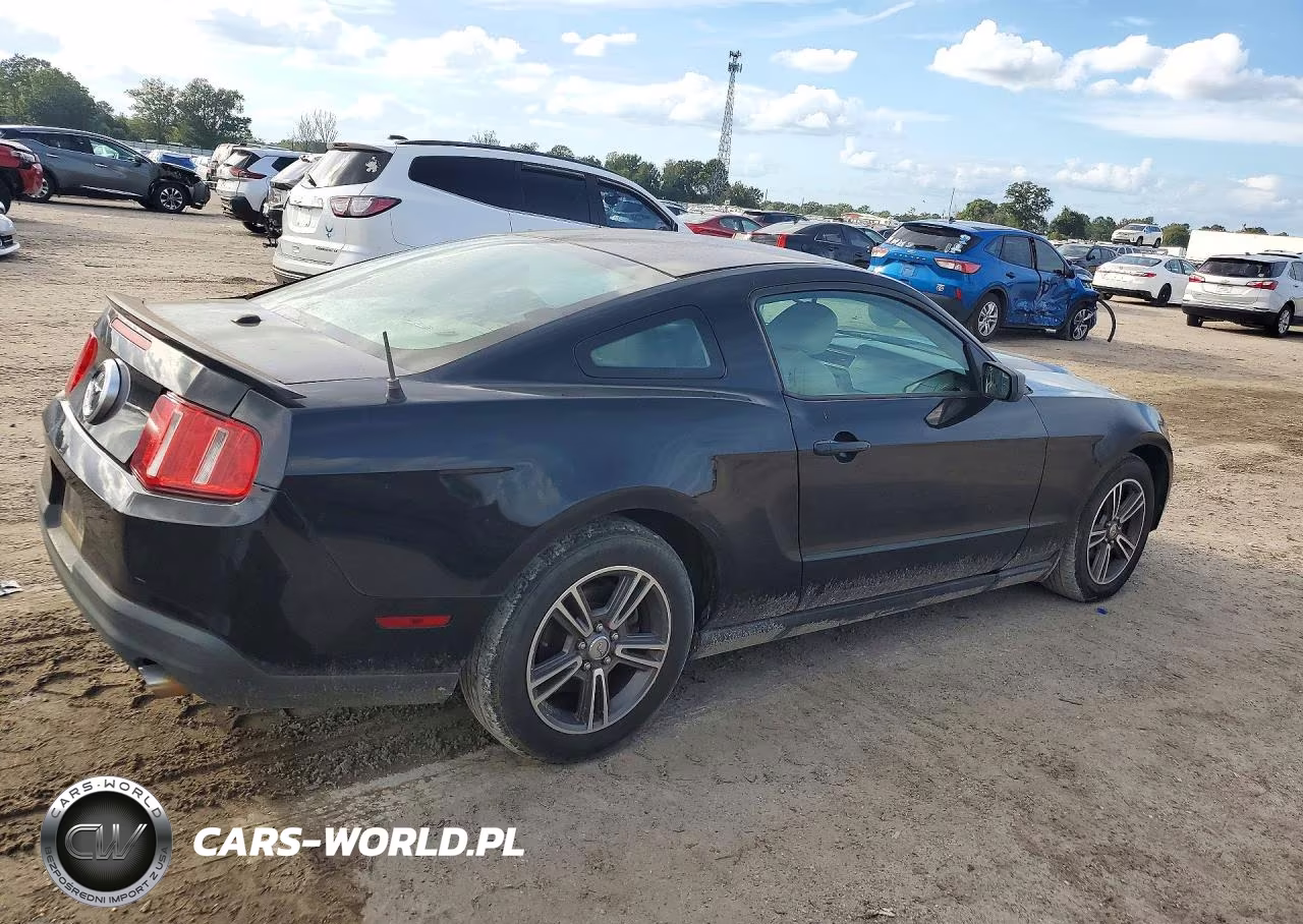 2010 Ford Mustang VIN:1ZVBP8AN7A5147804 - 3