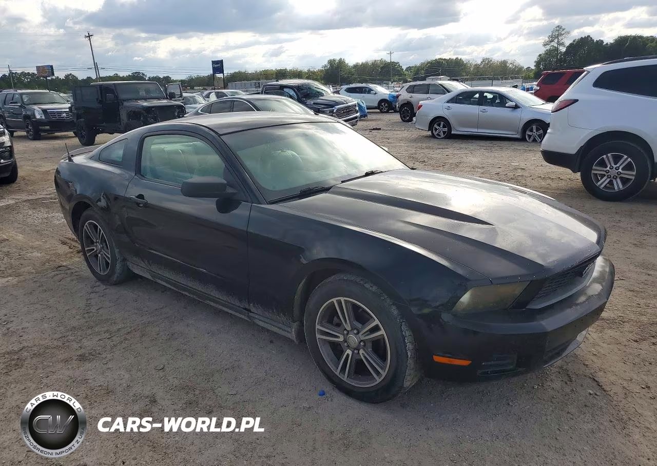 2010 Ford Mustang VIN:1ZVBP8AN7A5147804 - 4