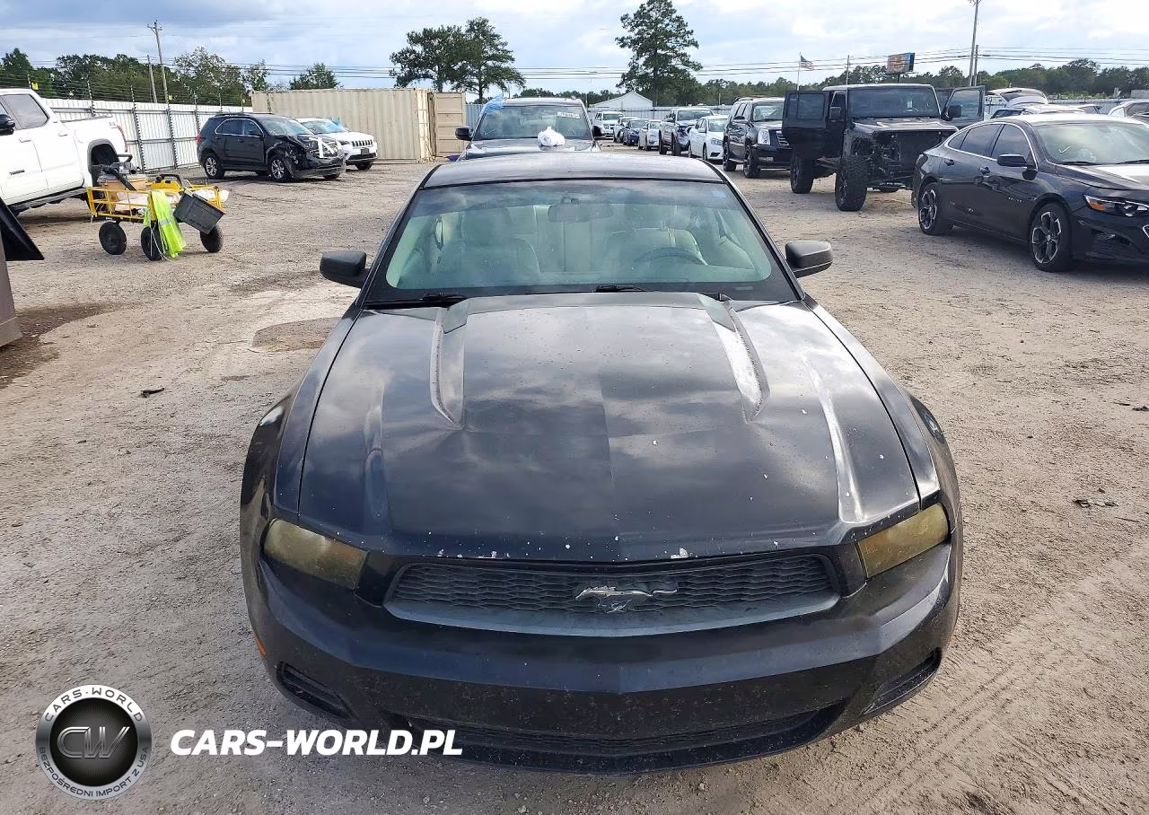 2010 Ford Mustang VIN:1ZVBP8AN7A5147804 - 5
