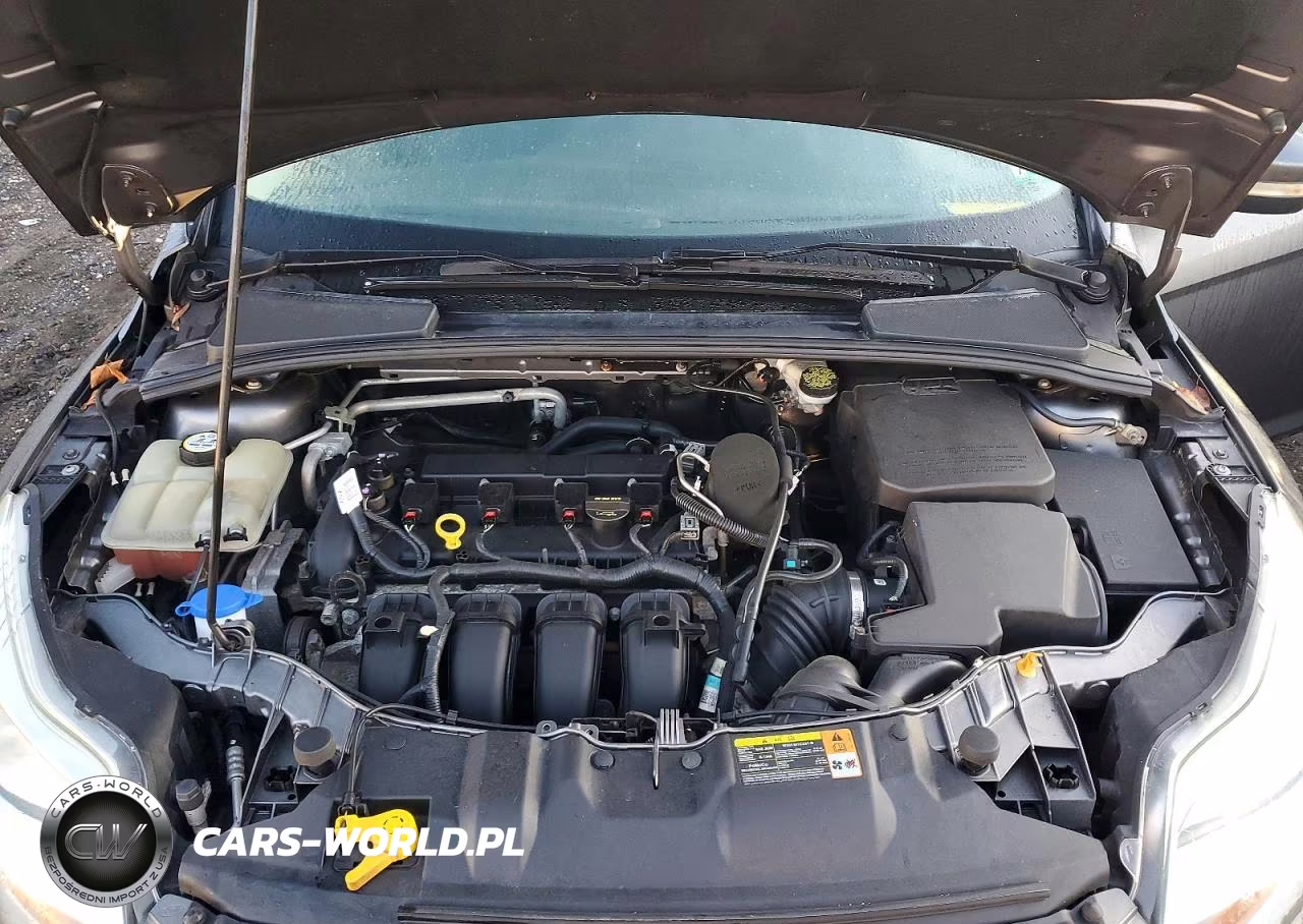 2013 Ford Focus Se VIN:1FADP3K25DL142612 - 11