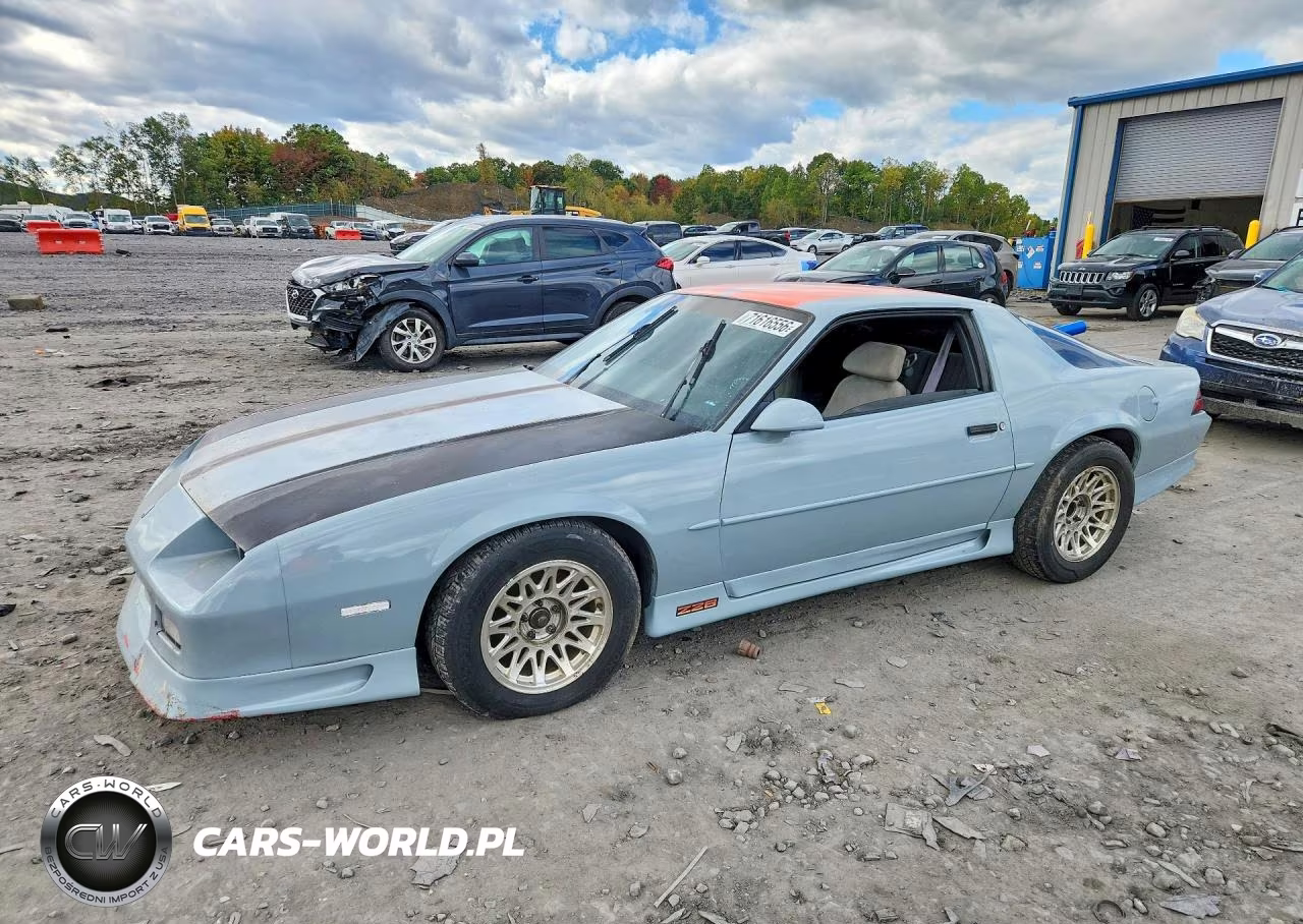 1991 Chevrolet Camaro Z28 VIN:1G1FP2381ML146763 - 1