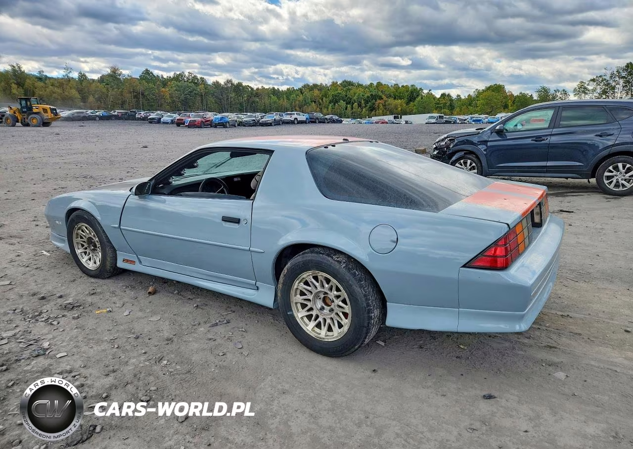 1991 Chevrolet Camaro Z28 VIN:1G1FP2381ML146763 - 2