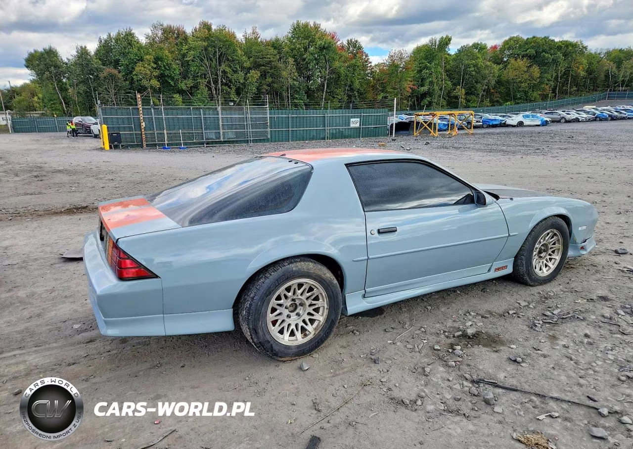 1991 Chevrolet Camaro Z28 VIN:1G1FP2381ML146763 - 3