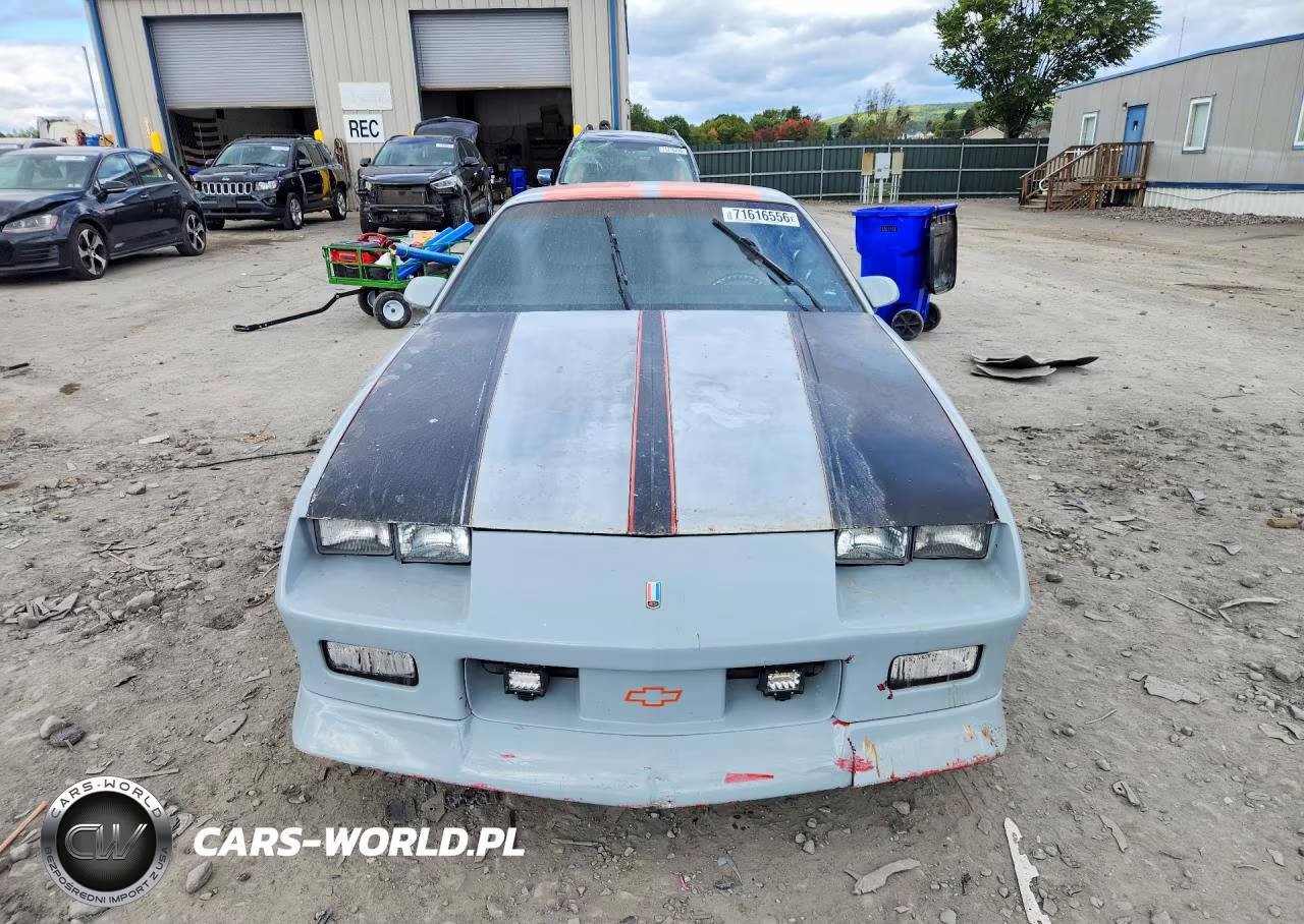 1991 Chevrolet Camaro Z28 VIN:1G1FP2381ML146763 - 5