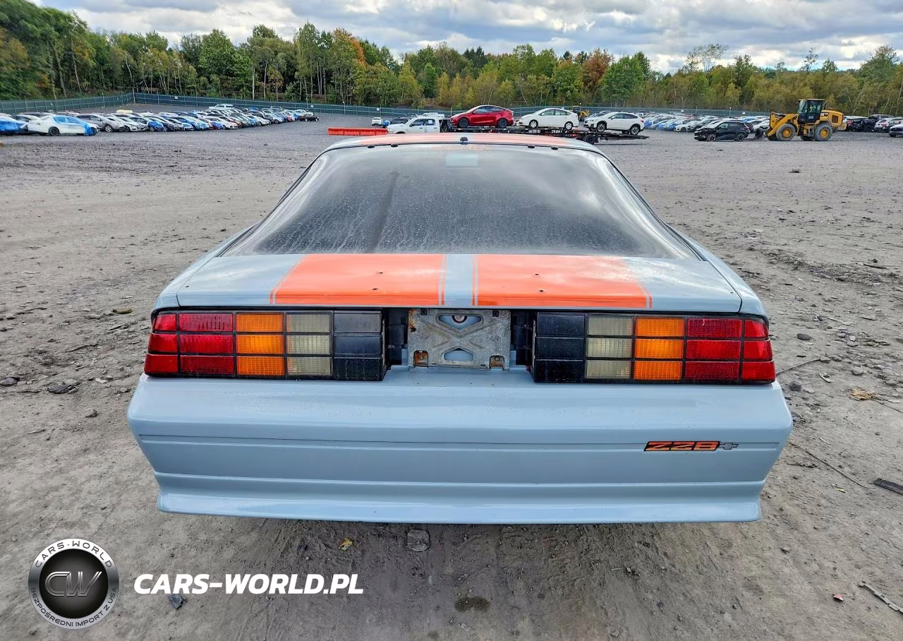 1991 Chevrolet Camaro Z28 VIN:1G1FP2381ML146763 - 6