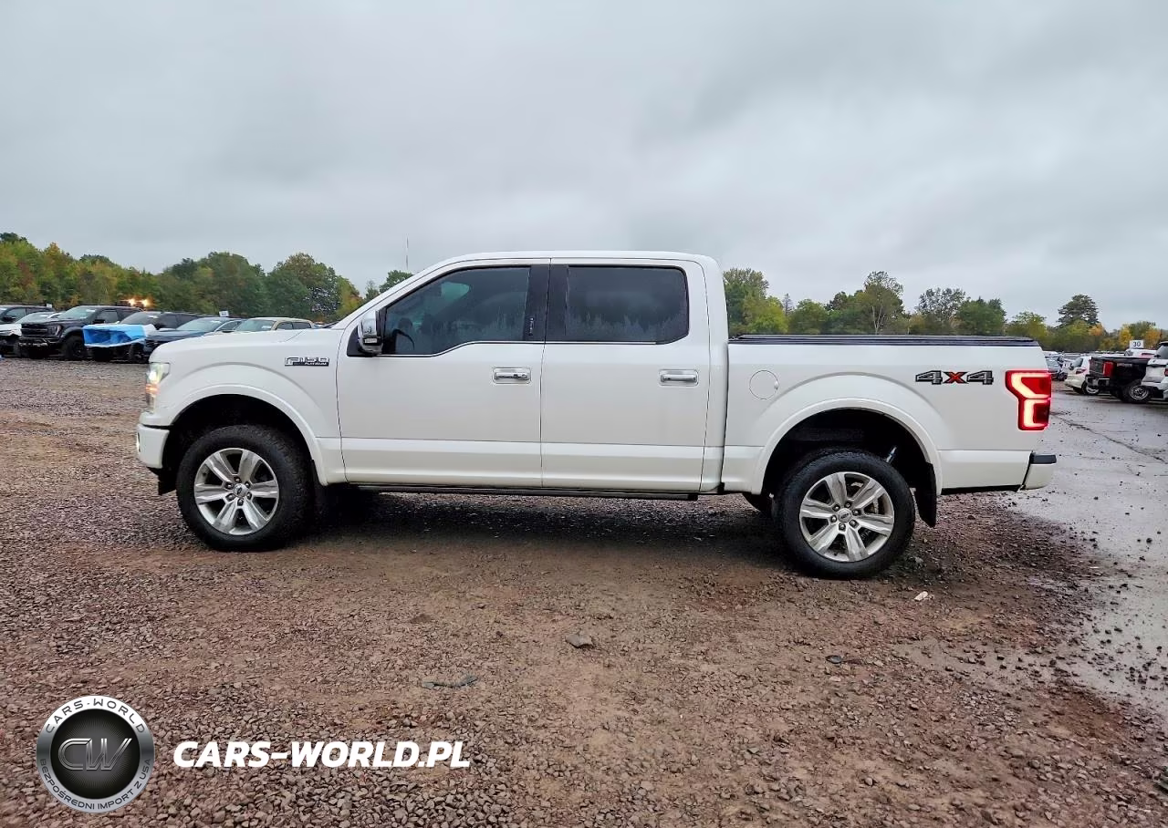 2018 Ford F-150 Platinum VIN:1FTEW1EG2JFC68059 - 12