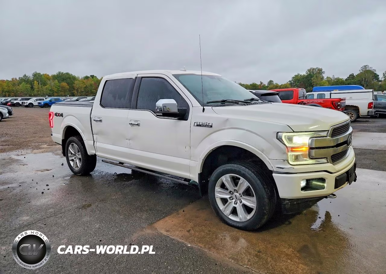 2018 Ford F-150 Platinum VIN:1FTEW1EG2JFC68059 - 4