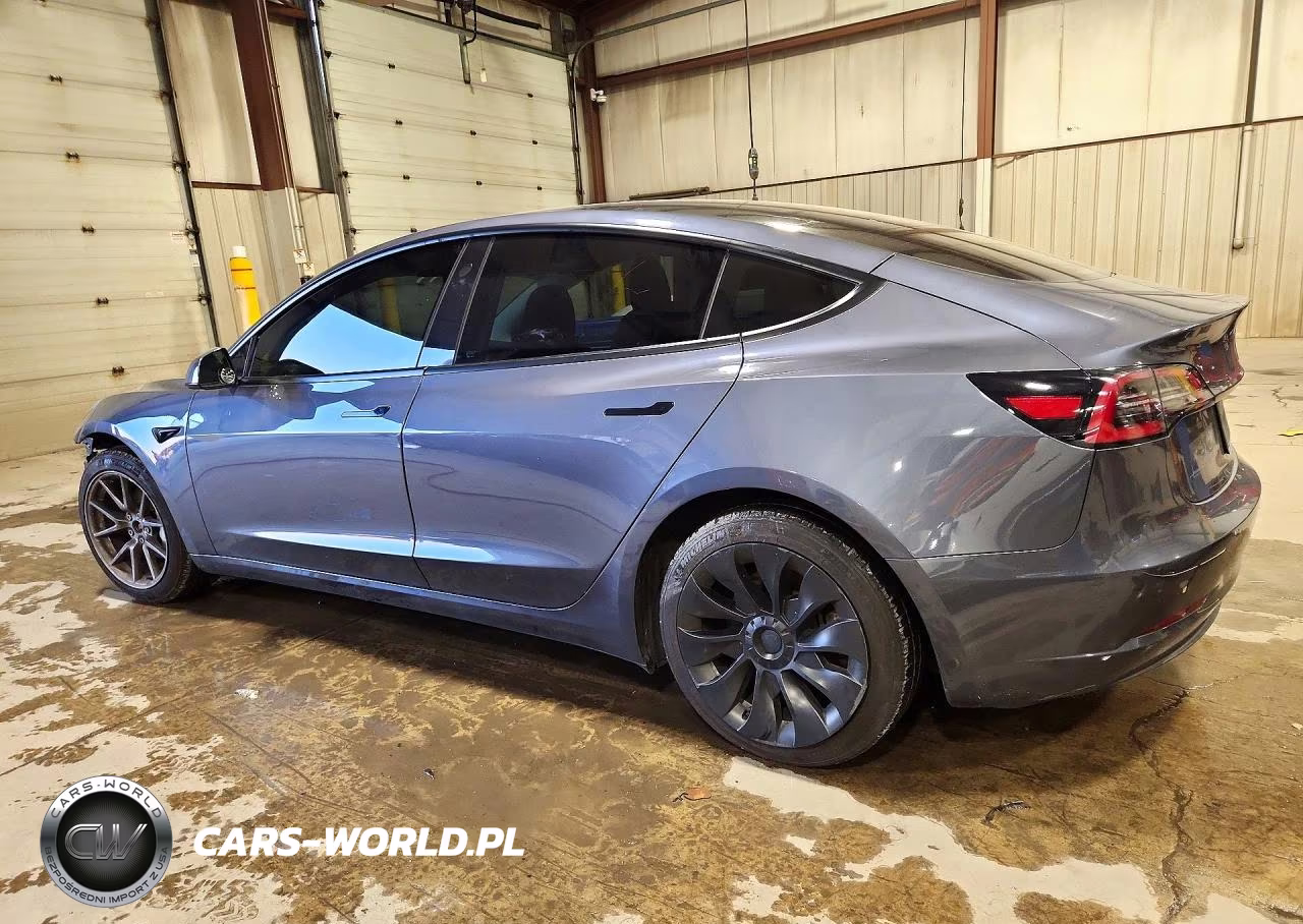2023 Tesla Model 3 VIN:5YJ3E1EB0PF389524 - 2