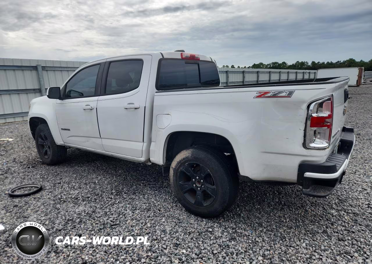 2019 Chevrolet Colorado Z71 VIN:1GCGSDENXK1235393 - 2