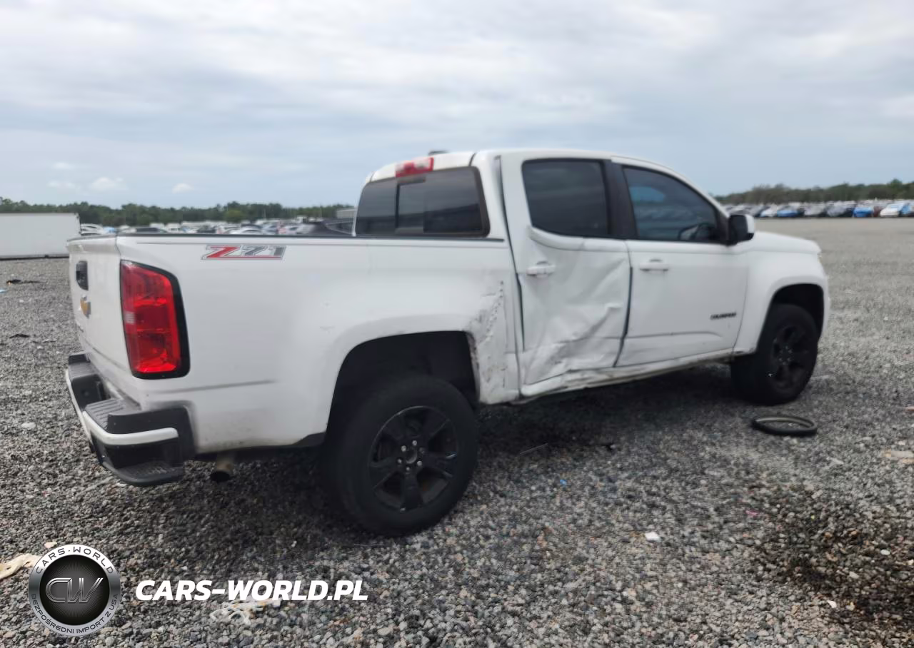 2019 Chevrolet Colorado Z71 VIN:1GCGSDENXK1235393 - 3