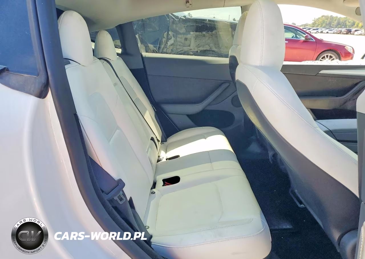 2024 Tesla Model Y VIN:7SAYGDEDXRA303951 - 10