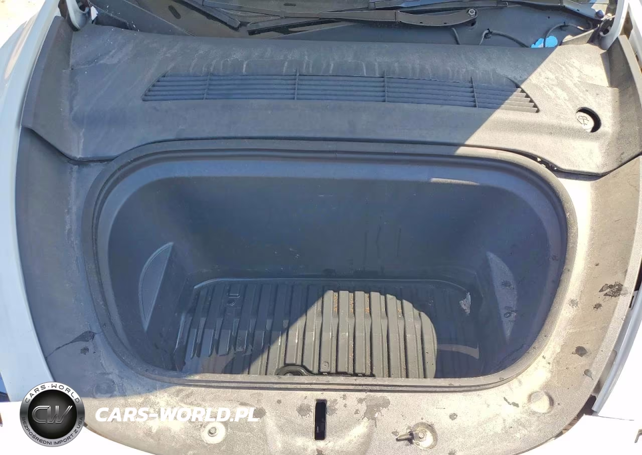 2024 Tesla Model Y VIN:7SAYGDEDXRA303951 - 11