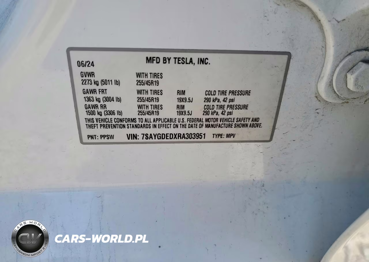 2024 Tesla Model Y VIN:7SAYGDEDXRA303951 - 12