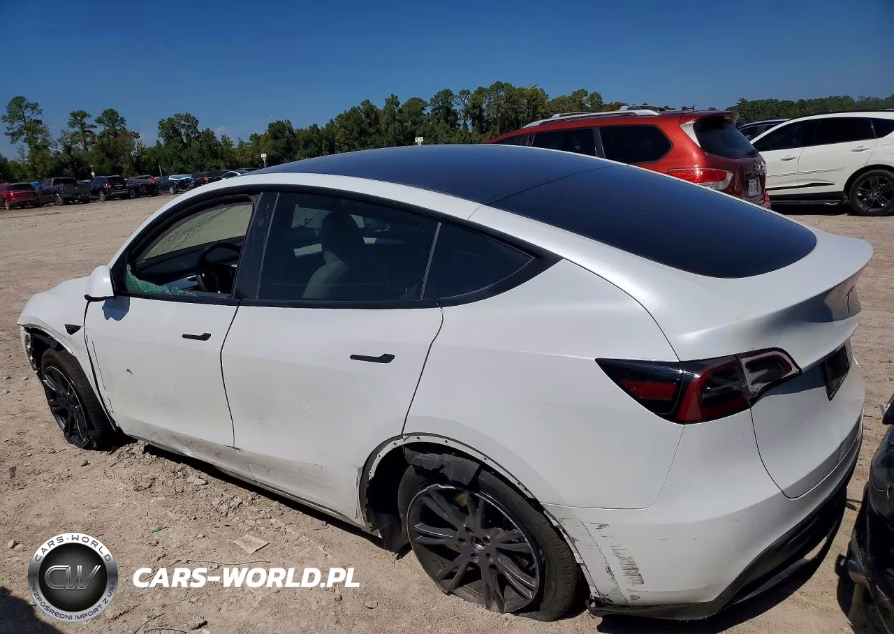 2024 Tesla Model Y VIN:7SAYGDEDXRA303951 - 2