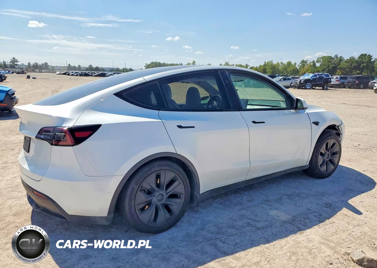 2024 Tesla Model Y VIN:7SAYGDEDXRA303951 - 3