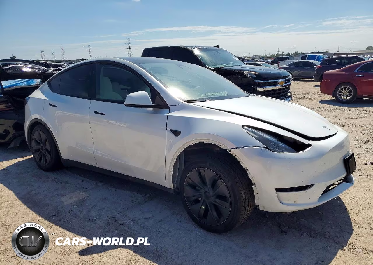 2024 Tesla Model Y VIN:7SAYGDEDXRA303951 - 4