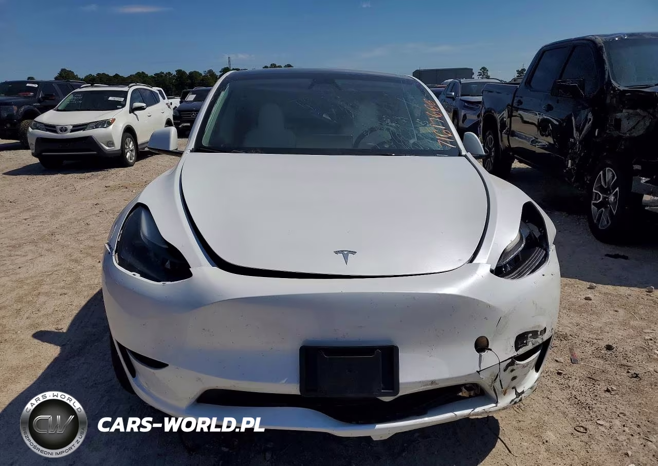 2024 Tesla Model Y VIN:7SAYGDEDXRA303951 - 5