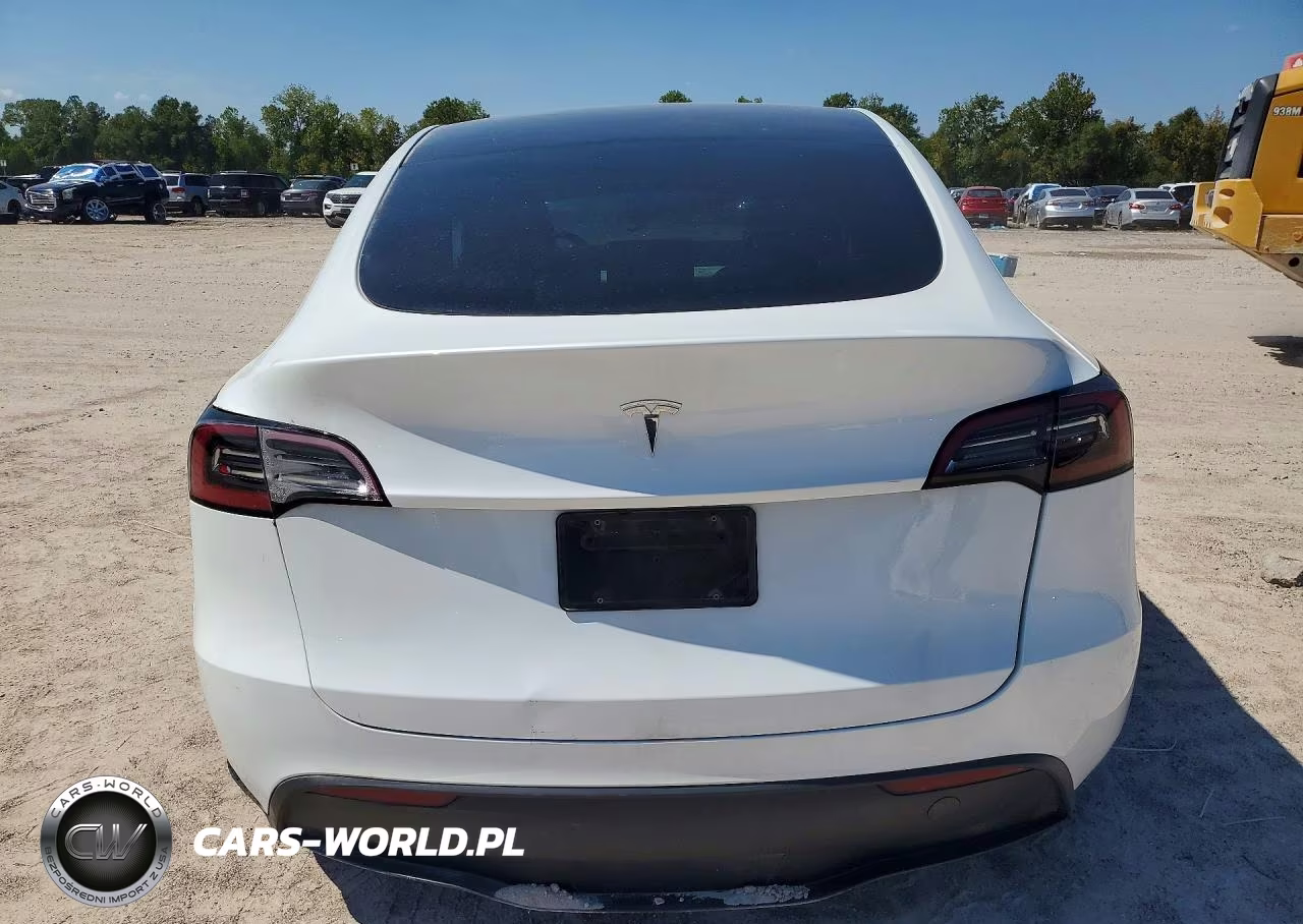 2024 Tesla Model Y VIN:7SAYGDEDXRA303951 - 6
