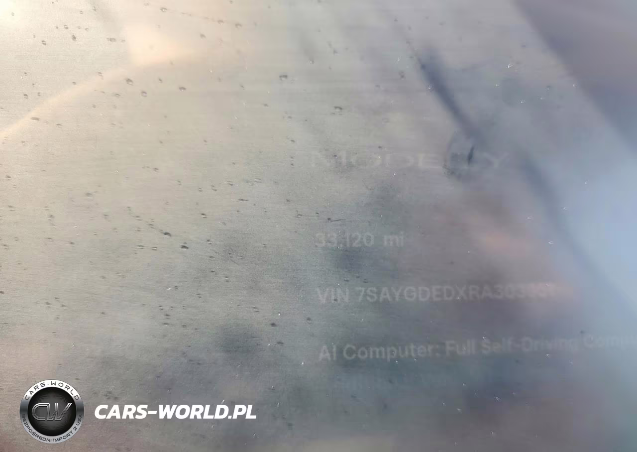 2024 Tesla Model Y VIN:7SAYGDEDXRA303951 - 9