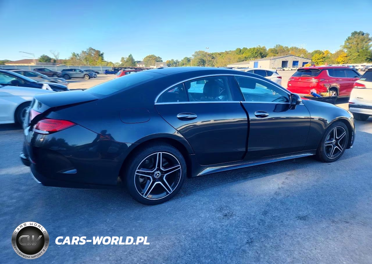 2019 Mercedes-Benz Cls 450 4Matic VIN:WDD2J5KB7KA006768 - 3