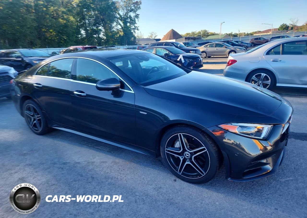 2019 Mercedes-Benz Cls 450 4Matic VIN:WDD2J5KB7KA006768 - 4