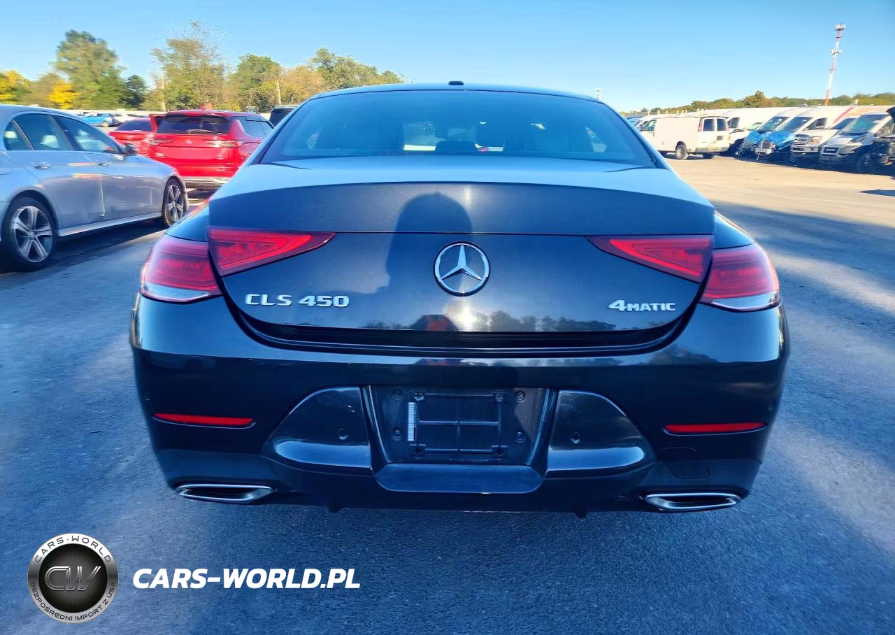 2019 Mercedes-Benz Cls 450 4Matic VIN:WDD2J5KB7KA006768 - 6