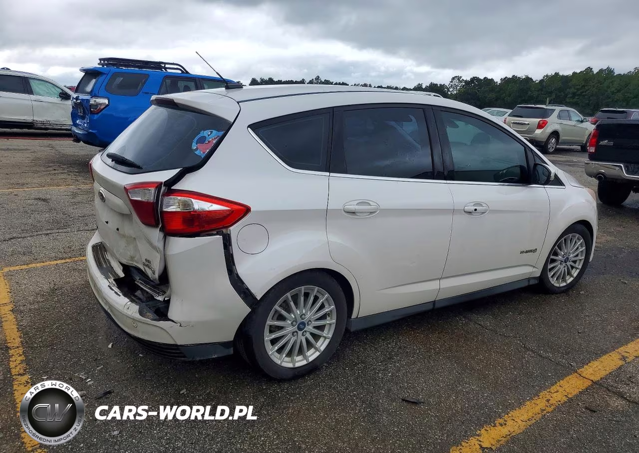 2013 Ford C-Max Sel VIN:1FADP5BU3DL510282 - 3