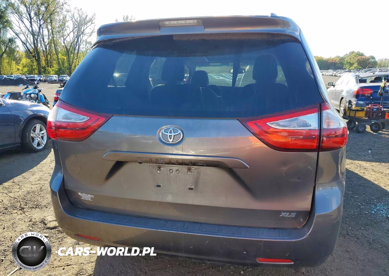 2017 Toyota Sienna Xle 8-Passenger VIN:5TDYZ3DC0HS804175 - 6