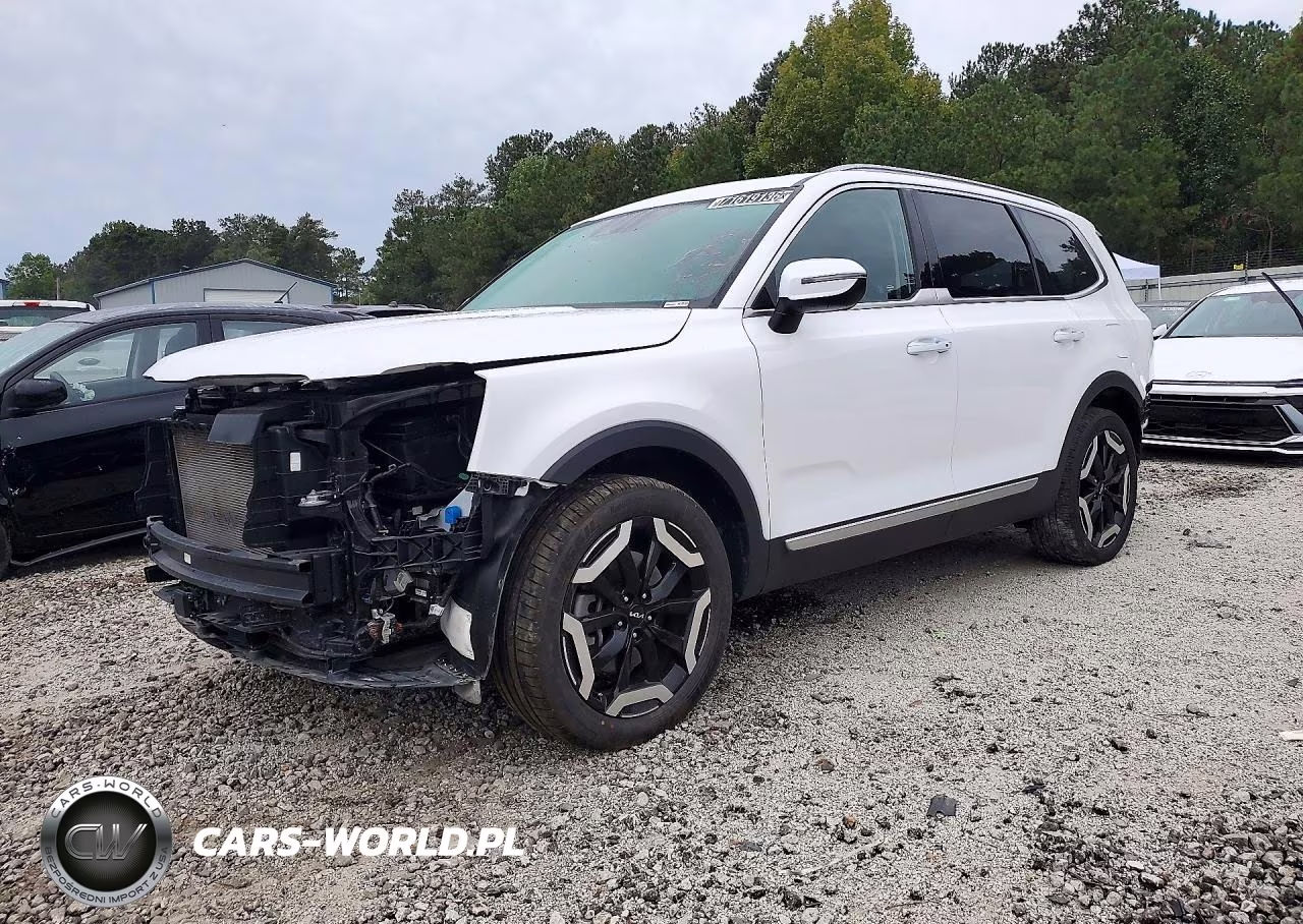 2025 Kia Telluride S VIN:5XYP64GC4SG678249 - 1