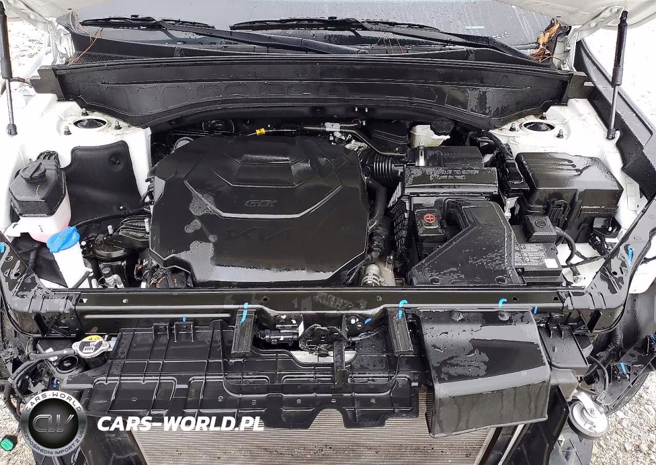 2025 Kia Telluride S VIN:5XYP64GC4SG678249 - 12