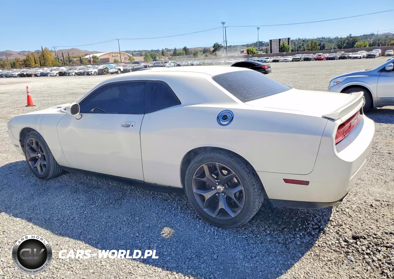 2010 Dodge Challenger R-T VIN:2B3CJ5DT4AH174521 - 2
