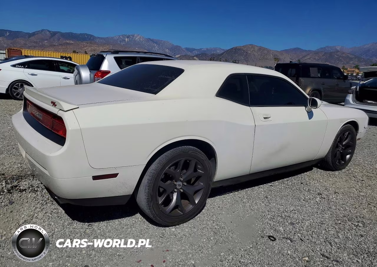 2010 Dodge Challenger R-T VIN:2B3CJ5DT4AH174521 - 3