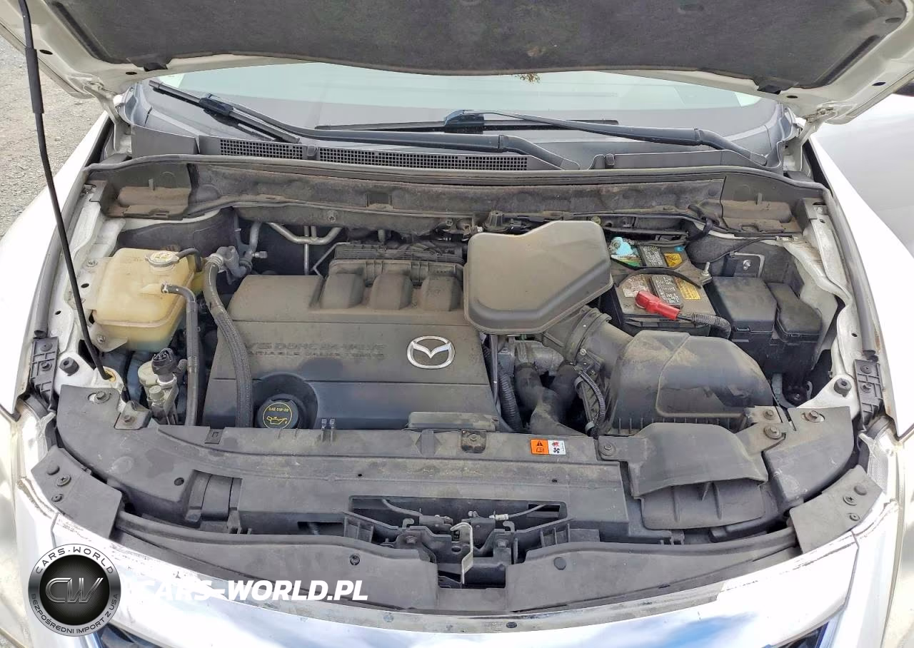 2010 Mazda Cx-9 VIN:JM3TB3MVXA0220821 - 12