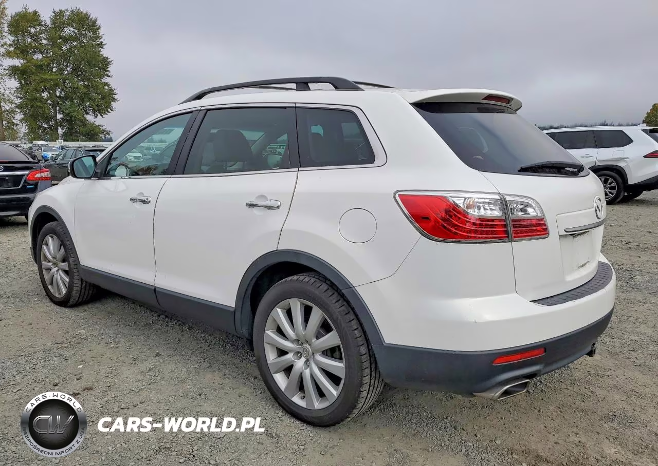 2010 Mazda Cx-9 VIN:JM3TB3MVXA0220821 - 2