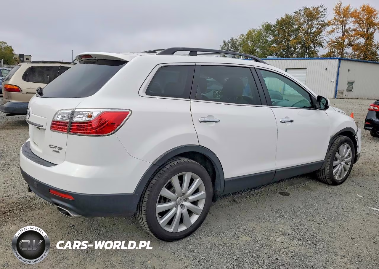 2010 Mazda Cx-9 VIN:JM3TB3MVXA0220821 - 3