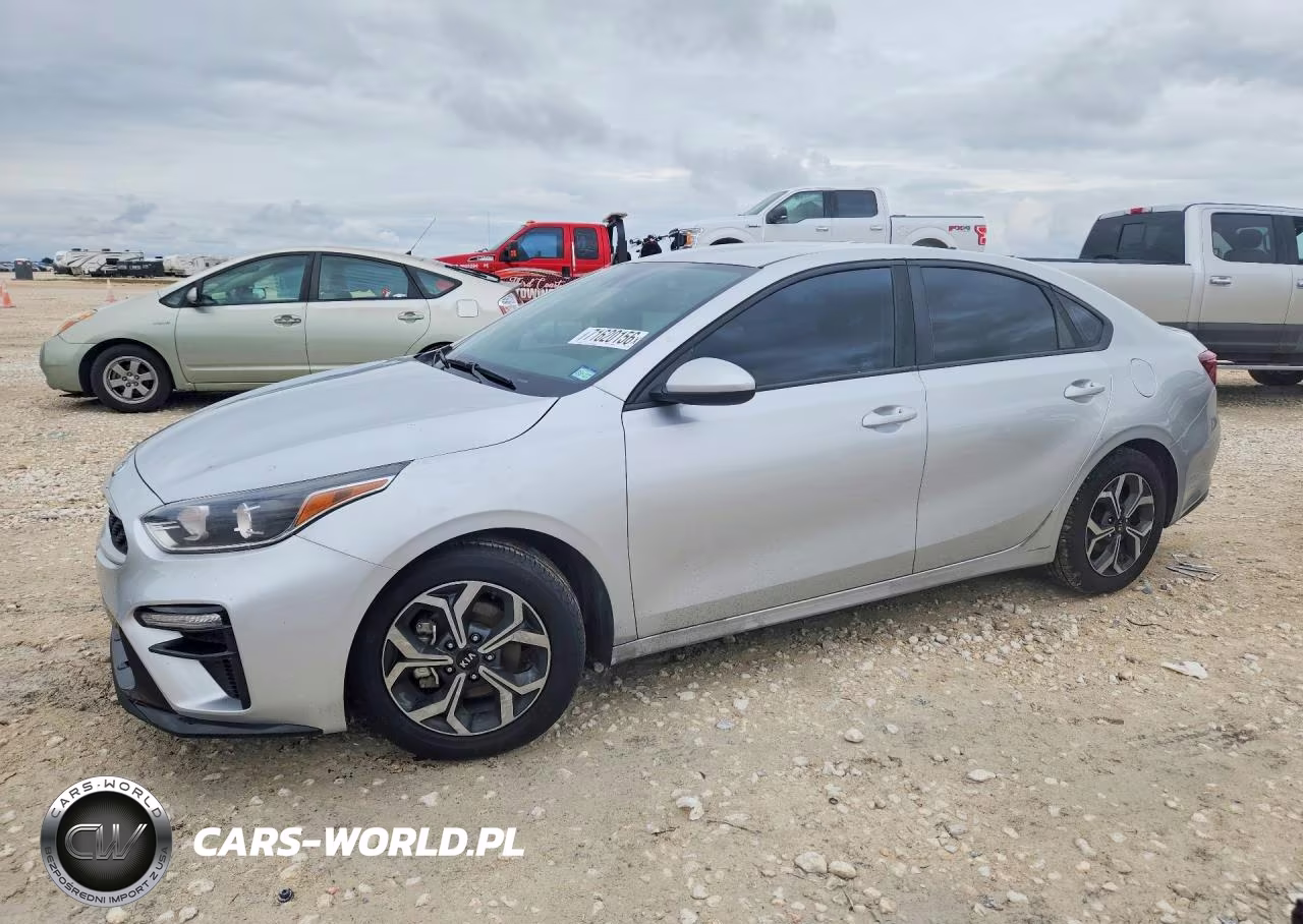 2019 Kia Forte Lxs