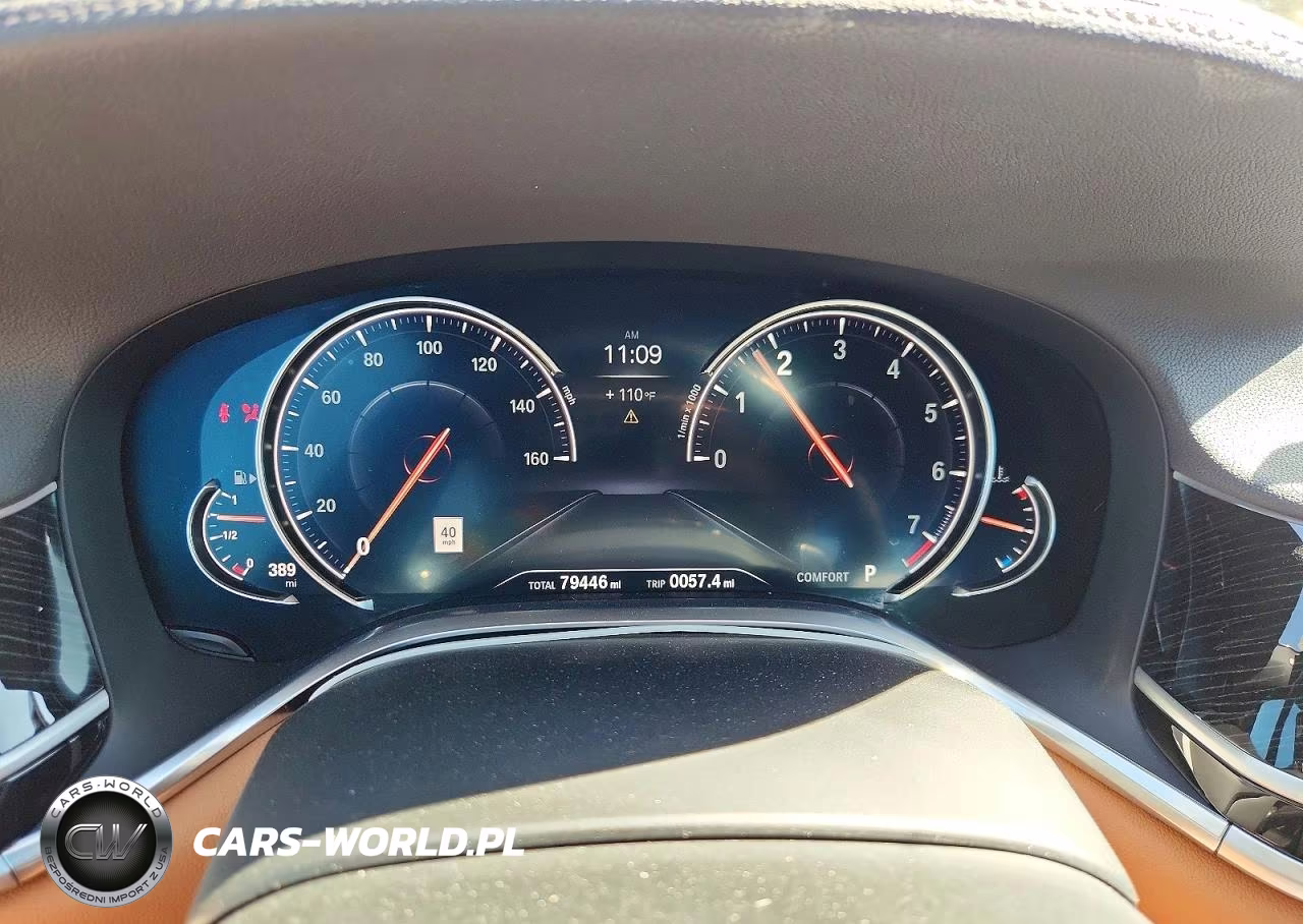 2019 BMW 750 I VIN:WBA7F0C51KGM24900 - 9