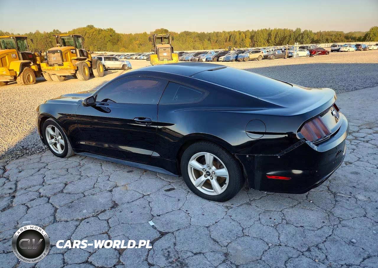 2017 Ford Mustang VIN:1FA6P8AM5H5224648 - 2