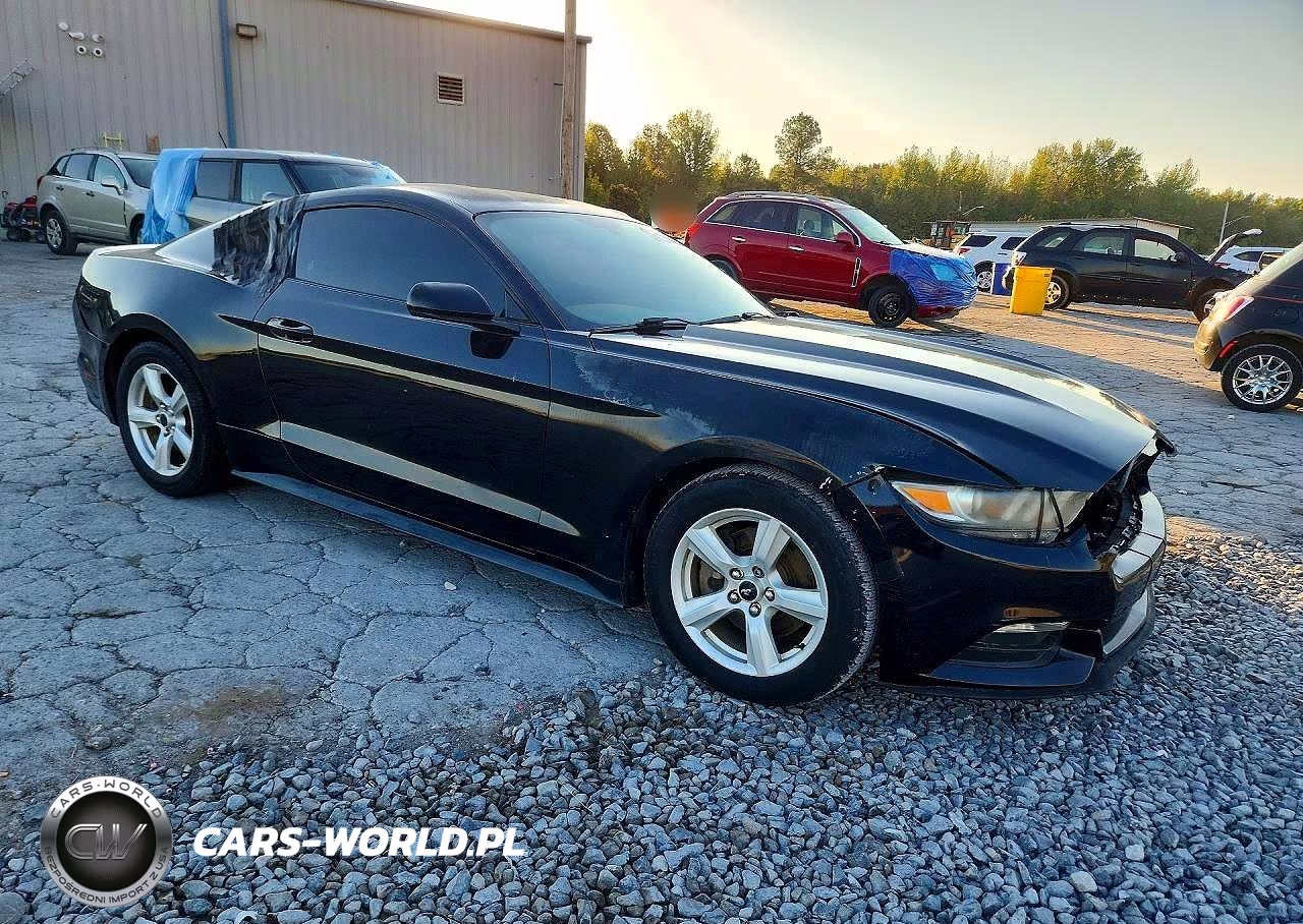 2017 Ford Mustang VIN:1FA6P8AM5H5224648 - 4