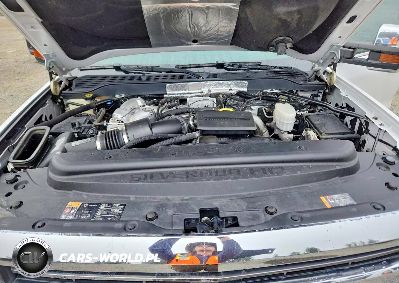 2019 Chevrolet Silverado K2500 Heavy Duty Ltz VIN:1GC1KTEY8KF121325 - 11